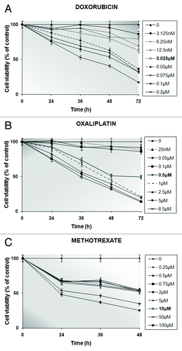 Figure 1. Determination of stomach cancer cells’ viability (%) by conducting MTT tests up to 3 d following no treatment or in the presence of increasing concentrations of doxorubicin (A) or oxaliplatin (B) for 24, 36, 48, and 72 h or methotrexate (C) for 24, 36, and 48 h. Formazan release from untreated (control) cells is represented as viability set to 100%. The IC50 values for the drug-exposed AGS cells are shown in bold characters. Every point corresponds to the mean value of experiments performed in triplicates and repeated 3 times.