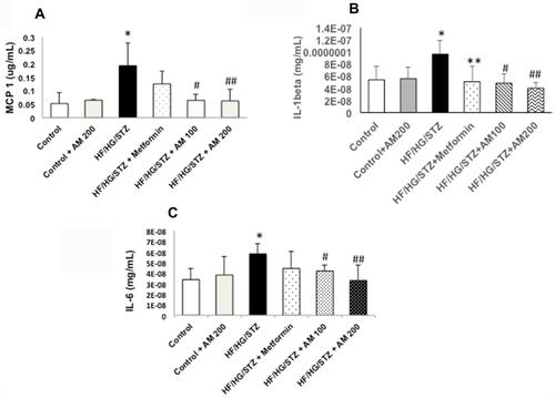 Figure 2 Effects of alpha-mangostin on protein expression of MCP-1, IL-1β, and IL-6. ELISA analysis shows that HF/HG/STZ-induced T2DM upregulated the (A) MCP-1, (B) IL-1β, and (C) IL-6 protein expression, which were downregulated by the administration of alpha-mangostin in both doses and metformin. Data are presented as mean ± SD (n=6), and were analyzed using one-way ANOVA followed by Tukey’s post-hoc analysis. Values are considered significantly different at p < 0.05. *p < 0.05 HF/HG/STZ vs control and control-treated with alpha-mangostin. **p < 0.05 HF/HG/STZ vs HF/HG/STZ + Metformin. #p < 0.05 HF/HG/STZ vs HF/HG/STZ + AM 100. ##p < 0.05 HF/HG/STZ vs HF/HG/STZ + AM 200.