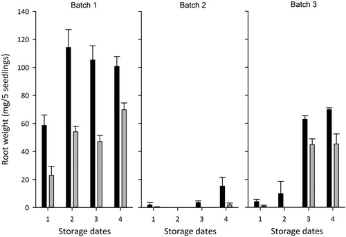 Figure 5. Post-storage vitality measured as root growth (dry weight mg/5 seedlings) in 3-week regrowth tests starting on 27 January (black bars) and 9 April (gray bars) for Batch 1, Batch 2 and Batch 3. Measurements based on 20 Norway spruce seedlings (5 seedlings from 4 replicates) for each batch and storage date (1 = 16 September, 2 = 6 October, 3 = 27 October, 4 = 17 November). Vertical lines represent the standard error.