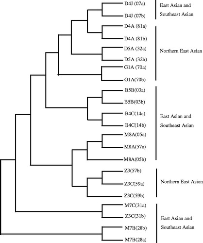 Figure 2. Phylogenetic relationships between the mtDNA sequences derived from 11 ESCC tissues and their corresponding adjacent non-cancerous tissues.