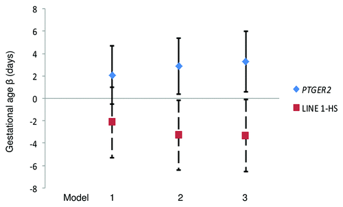 Figure 3. Gestational Age Differences per interquartile range of cervical DNA methylation of PTGER2 and LINE 1-HS, ELEMENT birth cohort, Mexico City. Model 1: Unadjusted Model 2: Adjusted for maternal age Model 3: Model 2 additionally adjusted for Pap smear inflammation Abbreviations: PTGER2 prostaglandin E receptor 2 (subtype EP2); LINE 1-HS long interspersed nuclear element-1 Homo sapiens-specific. Footnote: n = 69 for PTGER2 models and n = 71 for LINE 1-HS models; error bars indicate 95% confidence intervals.