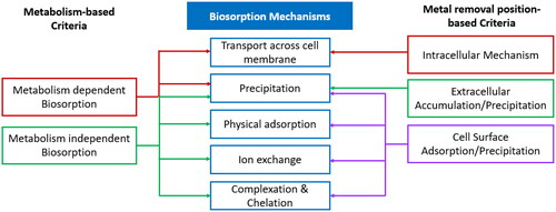 Figure 1. Classification of Biosorption Mechanisms.