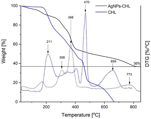 Figure 4 TGA curves recorded during the heating AgNPs-CHL and CHL not attached on the silver surface under nitrogen atmosphere (solid lines) and their derivatives with temperature (dotted lines with the same colours).