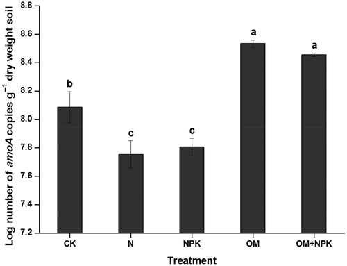 Figure 1 The abundance of archaeal amoA genes after long-term (24-year) treatments with mineral fertilizer and/or organic manure in an acidic red soil. Values (means ± standard error, SE, n = 3) followed by the same letter above the bars are not significantly different determined using least significant difference (LSD) test (p < 0.05). CK, N, NPK, OM and OM+NPK are the control; mineral nitrogen (N) fertilizer; mineral N, phosphorus (P) and potassium (K) fertilizer; organic manure; and organic manure plus mineral NPK fertilizer treatments, respectively.