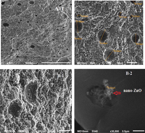 Figure 5. SEM image of (a) pure geopolymers and (b) geopolymers with 0.5 wt. % nano-ZnO.