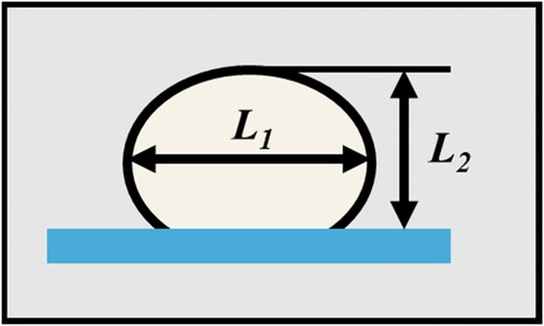 Figure 4. The schematic of the measured line width of filaments.