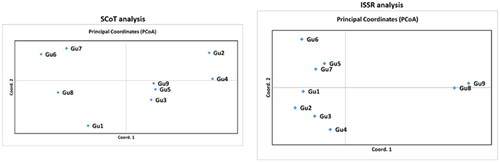 Figure 2. Principal Coordinate Analysis (PCoA) plot for 9 samples (Gu1-Gu9) of P. guajava analyzed by SCoT and ISSR markers.