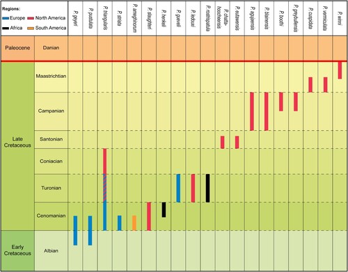 FIGURE 7. Re-evaluation of the chronostratigraphic range of the 19 Ptychotrygon species across the Cretaceous record.