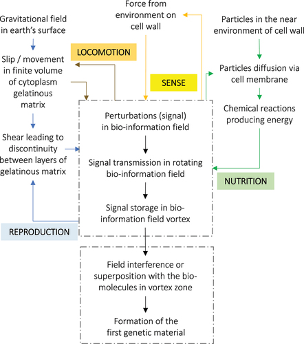 Figure 2. System model on the first appearance of sense, locomotion, nutrition, reproduction.