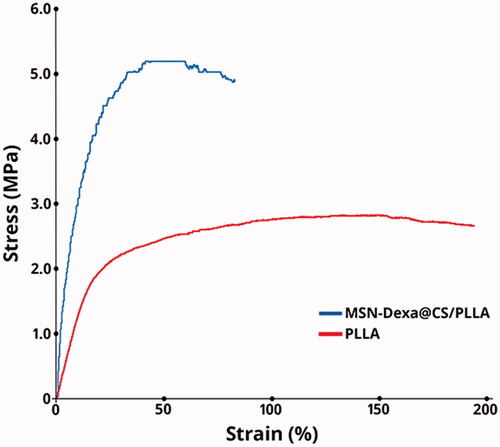 Figure 4. Tensile strength graph of Pure PLLA and MSN-Dexa@CS/PLLA scaffolds.