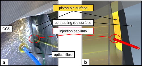 Figure 8. Injection capillary (a) in the experiment and (b) in the simulation model.