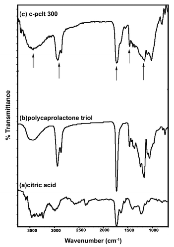 Figure 1. FTIR Spectra of (A) citric acid (B) polycaprolactone triol (C) C-PCLT 300.