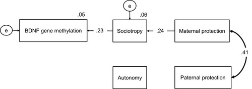 Figure 3 The second structural equation model using BDNF gene methylation, sociotropy and autonomy, and paternal and maternal protection with good fit.