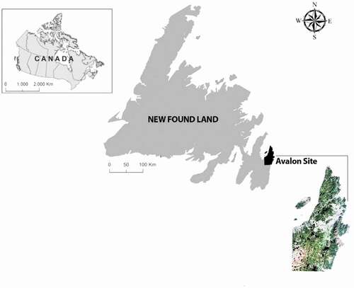 Figure 2. The location of the study area located in Newfoundland, Canada