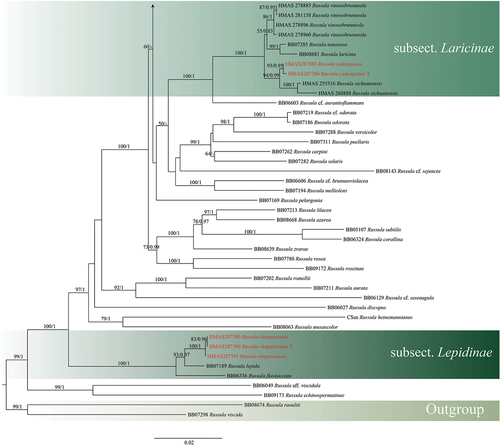 Figure 2. (Continued).