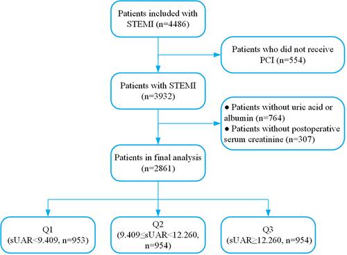 Figure 1 Study flowchart of the enrolled patients.