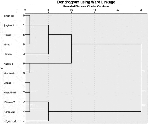 Figure 3. Dendrogram of hierarchical cluster analysis obtained by ward’s clustering method