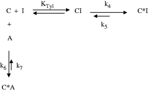 Scheme 3. One step kinetic model of competition between K-1602 (A) and tylosin (I) for binding on the ribosomal complex (C).