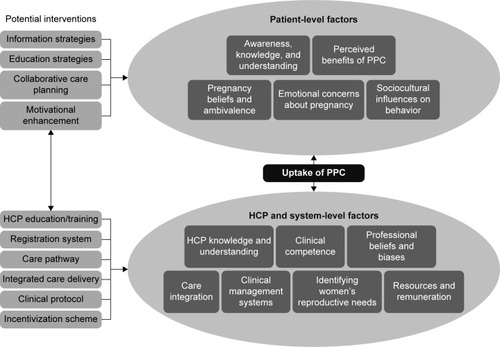 Figure 2 Integrated model of elements contributing to PPC uptake and potential interventions.