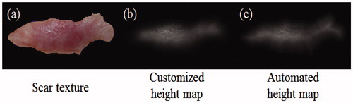 Figure 3. Scar height map automation.