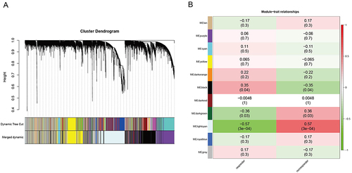 Figure 4 Weighted gene co-expression network analysis (WGCNA). (A) The cluster dendrogram of co-expression genes in GSE16879; (B) Module-trait correlation heatmap.