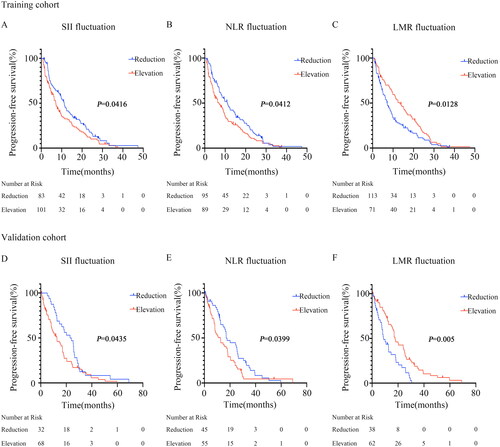 Figure 2. Survival curves according to fluctuations in SII, NLR, and LMR levels.(A) Significant difference in SII between patients with SII elevation and those with SII reduction after receiving immunotherapy compared to the baseline (7.13 months vs 11.27 months, P = 0.0416) in the training cohort.(B) Significant difference in NLR between patients with NLR elevation and those with NLR reduction after receiving immunotherapy compared to the baseline (6.93 months vs 11.07 months, P = 0.0412) in the training cohort.(C) Significant difference in LMR between patients with LMR elevation and those with LMR reduction after receiving immunotherapy compared to the baseline (13.3 months vs 7.1 months, P = 0.0128) in the training cohort.(D) Significant difference in SII between patients with SII elevation and those with SII reduction after receiving immunotherapy compared to the baseline (12.63 months vs 23.5 months, P = 0.0435) in the validation cohort.(E) Significant difference in NLR between patients with NLR elevation and those with NLR reduction after receiving immunotherapy compared to the baseline (12.6 months vs 17 months, P = 0.0399) in the validation cohort.(F) Significant difference in LMR between patients with LMR elevation and those with LMR reduction after receiving immunotherapy compared to the baseline (17.73 months vs 8.77 months, P = 0.005) in the validation cohort.