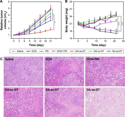 Figure 7 In vivo antitumor effects of DOX, TRI, DOX+TRI, DA-ss-DT, DA-cc-DT, and SA-ss-DT. Relative tumor volume (A) and body weight (B) of PC-3-bearing nude mice after treated with different drug forms. (C) Tumor tissue sections (stained by H&E) of mice from different groups. The sale bar is 50 µm for all images. *P<0.05 and ***P<0.001. Data are represented as mean±SD (n=6).Abbreviations: DOX, doxorubicin; TRI, triptolide.