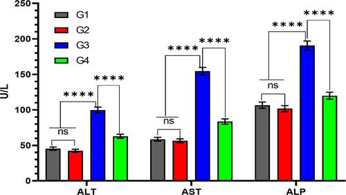 Figure 8 Quantitative analysis of garlic extract effects on trastuzumab-induced liver enzymes changes. The serum levels of alanine aminotransferase (ALT), aspartate aminotransferase (AST), and alkaline phosphatase (ALP) increase significantly in the serum of G3 compared to G1, G2, and G4. nsNo significance between G1 vs G2, ****Significance difference G1, G2 vs G3, and G3 vs G4 (p<0.001).