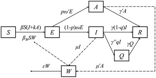 Figure 1. Flowchart of the SEIAQRW model for norovirus outbreak.