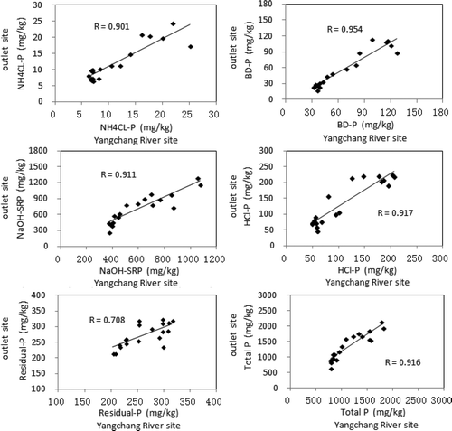 Figure 4 Correlation between P fraction concentrations in sediments of the Yangchang River (x-axis) and those in sediments of the outlet (y-axis), Hongfeng Reservoir. Correlation is significant at the 0.01 level.