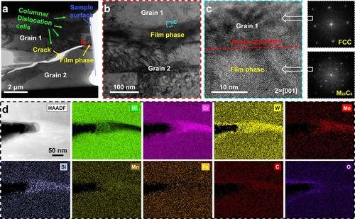 Figure 2. TEM observations on the film-like phase: Bright field images showing (a) the overall view of the lift-out lamella sample and (b) the film-like phase enclosed to the crack. (c) High-resolution TEM image centred on the interface of the film-like phase and the matrix, with insets showing their FFT patterns, respectively. (d) STEM-HAADF image and the corresponding elemental maps centred on the crack tip and the carbide film.