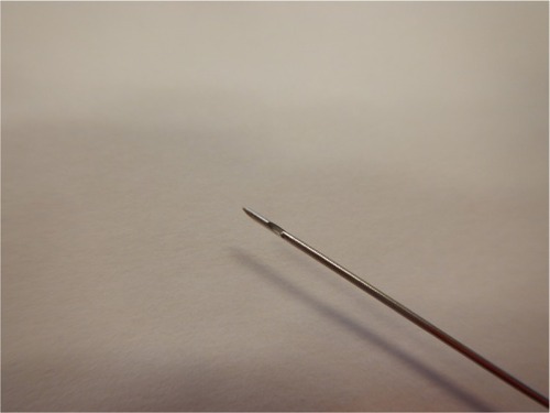 Figure 1 EchoTip ProCore needle, 25 gauge, showing needle tip and the reverse-beveled site.