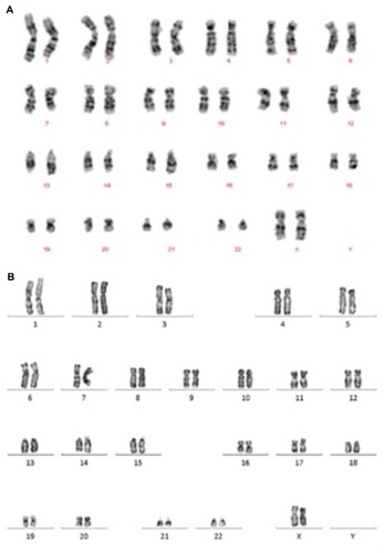 Figure 9 The karyotype of cells.