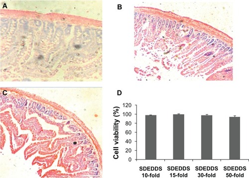 Figure 3 Histological sections of intestinal segments treated according to (A) control, (B) positive control conditions, and (C) blank SDEDDS (H&E stain, × 100). (D) Effect of blank SDEDDS on the cytotoxicity of Caco-2 cells after incubation for 2 hours.Note: Formulation was removed, and culture was continued up to 48 hours.Abbreviations: H&E, hematoxylin and eosin; HSYA, Hydroxysafflor yellow A; SDEDDS, self-double-emulsifying drug delivery system.