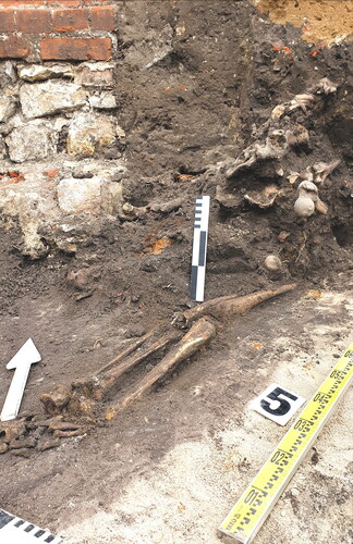 FIG. 9 Ossuary and fragments of skeletons damaged by the construction of a gunpowder magazine, excavation conducted in 2022 (by P. Kmiecik).