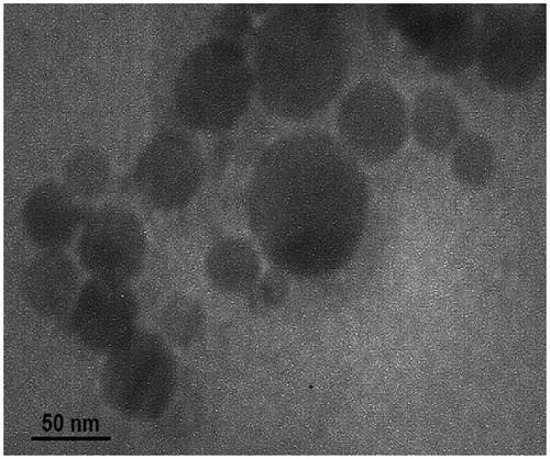 Figure 5. Transmission electron micrograph of MB nanoemulsion.