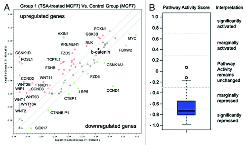 Figure 5. Wnt pathway repression in TSA-treated MCF7 breast cancer cells. (A) Fold changes in the expression of 84 genes relevant to the Wnt signaling pathway. Fold change in normalized gene expression in the Test Sample (TSA-treated MCF7 cells) divided by the normalized gene expression in the Control Sample (MCF7 cells). The middle line shows similar expression in both groups with 2-fold change boundaries. (B) Pathway activity score for Wnt signaling in experimental samples relative to control samples.