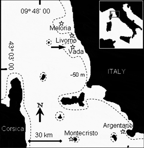 Fig. 1. Map of Tuscany (inset: position in Italy) with stars indicating the study sites. Dashed line represents the −50 m contour. The arrow indicates the location of experimental studies.