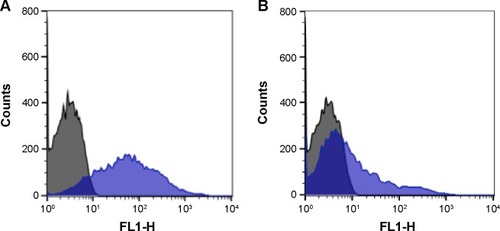 Figure 7 Histogram profiles of (A) A2 and (B) AX RBCs when incubated with QDs-anti-H (blue).Notes: Control cells are represented in black. The X-axis represents FL1 filters (530 nm/15 nm) of the flow cytometer and the Y-axis represents cell counts.Abbreviations: QDs, quantum dots; RBCs, red blood cells.