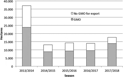 Figure 3. Seed production area for exports: GM and non-GM. It includes maize, soybean, and canola seeds (elaborated from SAG and ANPROS data).