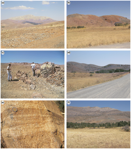 Figure 5. Field views of ophiolitic rocks from the study area. (a) Tectonic contact between the Tauride platform and the ophiolites, (b) radiolites and mafic rocks in the melange, (c) isolated dykes cutting the mantle tectonites, (d) serpentinized mantle harzburgite, (e) cumulate gabbros and (f) the contact between the ophiolite and the Tecer limestone Source: Osman Parlak.