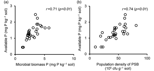 Figure 4. Relationships between the available phosphorus (P) (Olsen P) and soil biological properties: (4a) the microbial biomass P (r = 0.71, n = 30), (4b) the population density of phosphate-solubilizing bacteria (PSB) (r = 0.74, n = 30). The relationships were examined by means of an incubation experiment at day 30 for available P or day 15 for biological properties of soil.