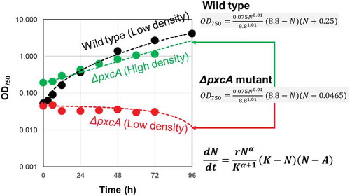 Figure 4. Allee effect found in ΔpxcA mutant cell line of cyanobacteria (Synechocystis spp. PCC6803). Optically monitored growth (OD750) of wild type and ΔpxcA mutant lines were compared. For each cell line, novel mathematic model for flexible density effect with Allee threshold (7) was used for Gauss-Newton algorithm-based curve fitting.