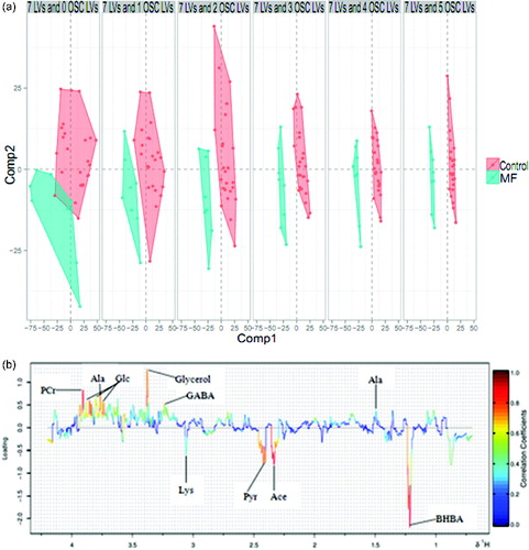 Figure 2. (a) OSCs PLS-DA score plot. The abscissa and ordinate represent components 1 and 2, respectively, for modeling. Every data point represents a sample. The left side (MF group) of the vertical axis is negative, and the right side (control group) is positive (OSC: orthogonal signal correction, LVs: latent variances). (b) Loading plots obtained from serum. The abscissa and ordinate axis represent, respectively, chemical shift (ppm) and correlation coefficients of metabolites. Blue: lowest, no statistically significant difference between the two groups; red: highest, statistically significant. The data points above the horizontal axis are positive, and those under the horizontal axis are negative.