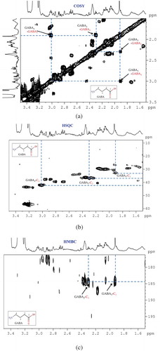 Figure 1. A series of 2D-NMR spectra for identification of metabolite GABA. (a): COSY; (b): HSQC; (c): HMBC.Figura 1. Serie de espectros NMR-2D para identificar los metabolitos GABA. (a): COSY; (b): HSQC; (c): HMBC.