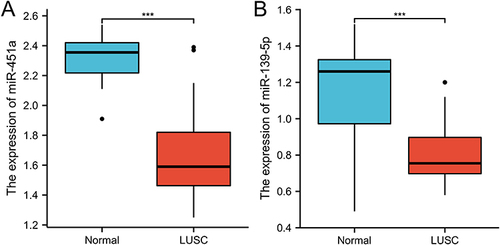Figure 6 The expression of hsa-miR-451a and hsa-miR-139-5p in the plasma of LUSC and health people. (A) hsa-miR-451a; (B) hsa-miR-139-5p. ***P<0.001.