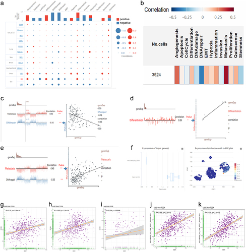 Figure 1 Bioinformatics analysis of IDO1 expression in single NSCLC cells and correlation with CD163 expression based on data in a public database. (a and b) Functional relevance of IDO1 expression in patients with NSCLC. Red and blue indicate a positive correlation and a negative correlation, respectively. (a) The size of the dot and (b) The depth of the color represent the average correlation strength. (c) Correlation between IDO1 expression and DNA repair. (d) Correlation between IDO1 expression and differentiation. (e) Correlation between IDO1 expression and metastasis. (f) The distribution and expression level of IDO1 in EXP0068 are shown in a box plot and a t-SNE plot. (g-i), Correlation of IDO1 expression with CD163 expression in LUAD (g), LUSC (h) and cell lines (i) based on data from The Cancer Genome Atlas (TCGA) and Cancer Cell Line Encyclopedia (CCLE) databases. Correlation of IDO1 expression with HALLMARK_IL6_JAK_STAT3_SIGNALING in LUAD (j) and LUSC (k). (***p<0.001; *p<0.05).