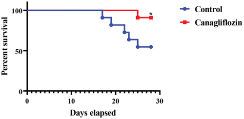 Figure 1. Canagliflozin prolonged the survival of hypobaric hypoxia-induced PAH mice. Mice were under hypobaric hypoxia condition on day 0 and administered canagliflozin or vehicle for 4 weeks. Survival curves demonstrated a significant survival benefit in canagliflozin-treated mice compared to control group. n = 11; *P < .05 compared to control.