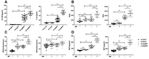 Figure 2 Comparisons of the inflammation indicators and PMNs function in vitro among the health control, <4.5y MPP group and ≥4.5y MPP group. (A) The quantity of PMNs from peripheral blood and pulmonary infiltration influenced by G-CSF and IL-8 respectively. (n =5–23). (B) Intercellular ROS fluorescence intensity in PMNs were detected at 30 minutes with or without 108 CFU MP infection (n =15). (C) The levels of MPO in culture supernatants of PMNs, isolated from HC or MPP cases co-cultured with or without 108 CFU of MP for 1 hour (n=15). (D) NETs production by PMNs after 4 hours post infection (n=15). Data was presented as mean±standard deviation.***P<0.001, **P<0.01,*P<0.05.