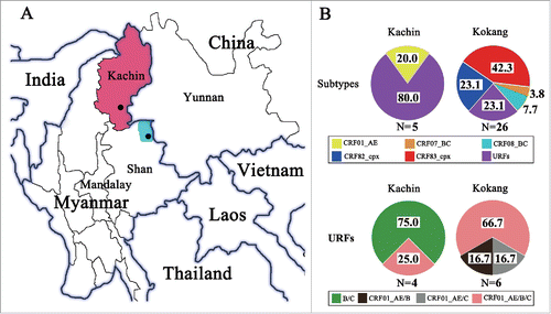 Figure 1. Geographical distribution of HIV-1 subtypes, CRFs and URFs among drug users in Northern Myanmar. (A) Geographic locations of Kachin and Kokang, Myanmar. Thick black line with shadow shows the border between countries, and thin black line shows the border between provinces/states. Sorrel and light blue shadows show Kachin state and Kokang Autonomous Region, respectively. Black dots show the sampling sites. (B) Proportion of various HIV-1 subtypes and RFs. Numbers in each sector indicate the percentages of corresponding subtype and RFs.